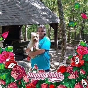 Meet your Posher, Carol